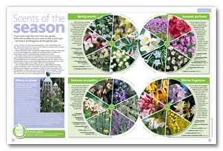 Beautiful Gardens spread