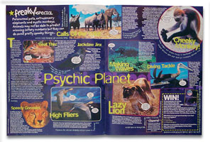 Star Pets spread